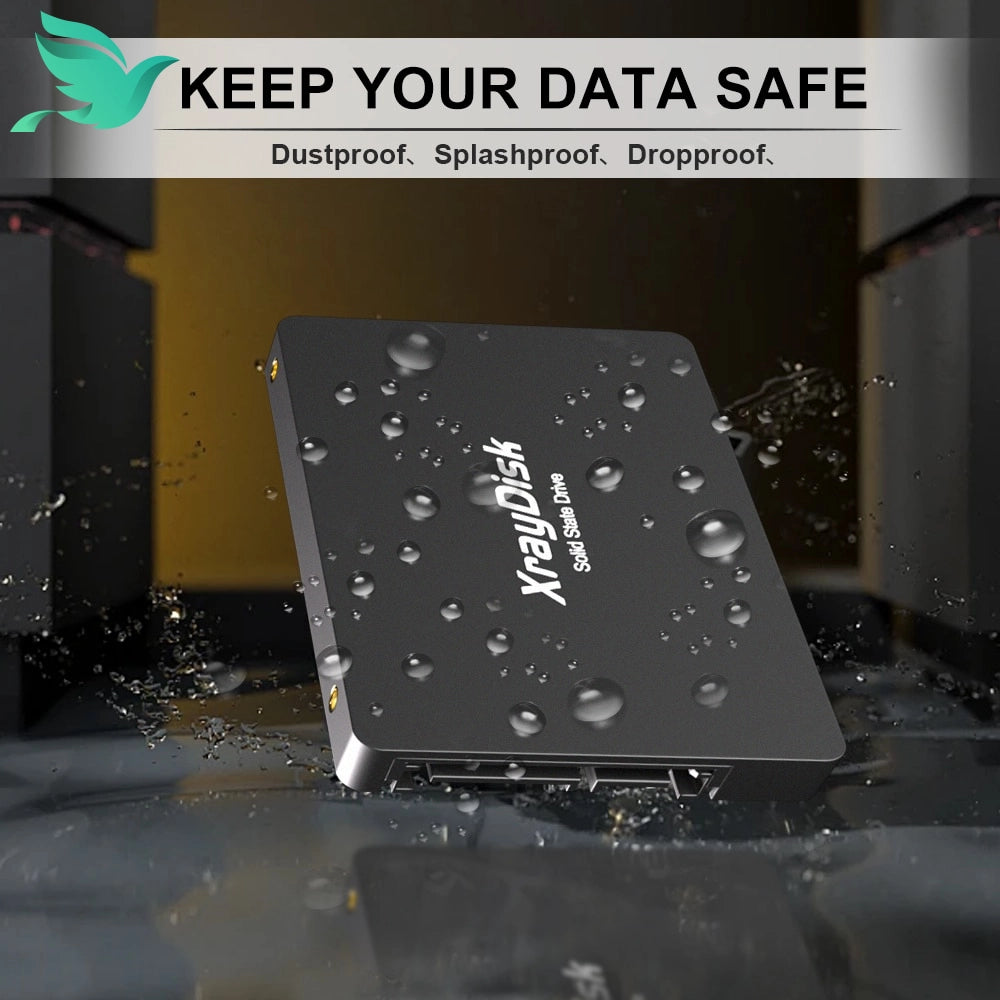 High-Speed Xraydisk SATA3 SSD - 1TB to 120GB Internal Drive for Laptop & Desktop