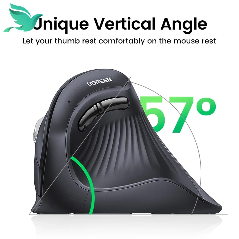 1719216534667929962a8a33984221