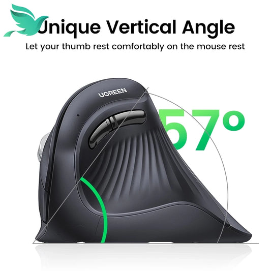 1719216534667929962a8a33984221